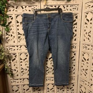 UNIVERSAL THREADS PLUS STRETCHY SKINNY JEANS
